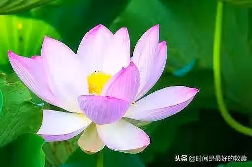 /www/bananadaily.net/web/images/image/2162/21625845.avif
