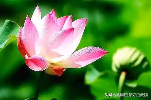 /www/bananadaily.net/web/images/image/2162/21625846.avif
