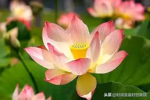 /www/bananadaily.net/web/images/image/2162/21625850.avif