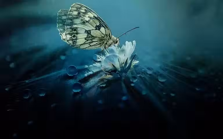 /www/bananadaily.net/web/images/image/2268/22685951.avif