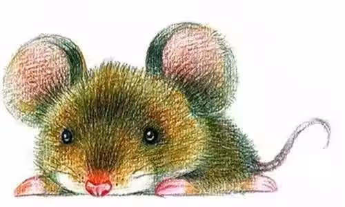 /www/bananadaily.net/web/images/image/2273/22736667.avif