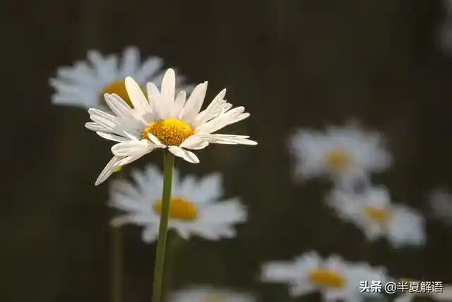/www/bananadaily.net/web/images/image/2274/22749201.avif