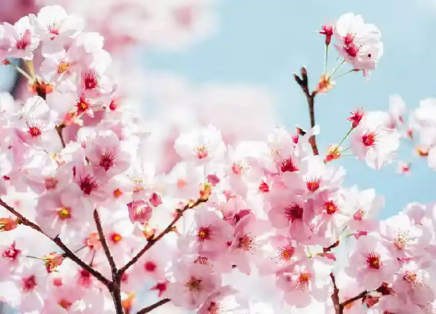 /www/bananadaily.net/web/images/image/2275/22750613.avif