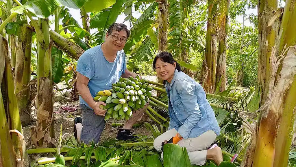 /www/bananadaily.net/web/images/image/2275/22753634.avif