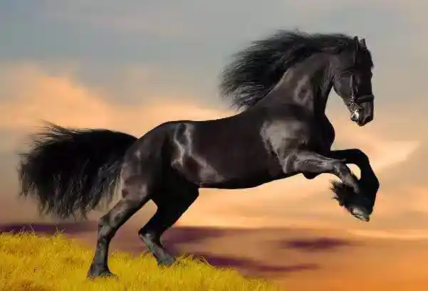 /www/bananadaily.net/web/images/image/2275/22754100.avif