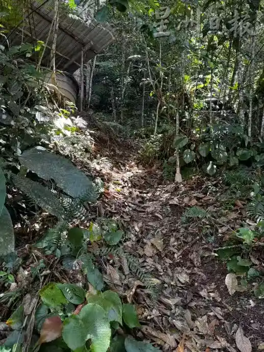 /www/bananadaily.net/web/images/image/2275/22754507.avif